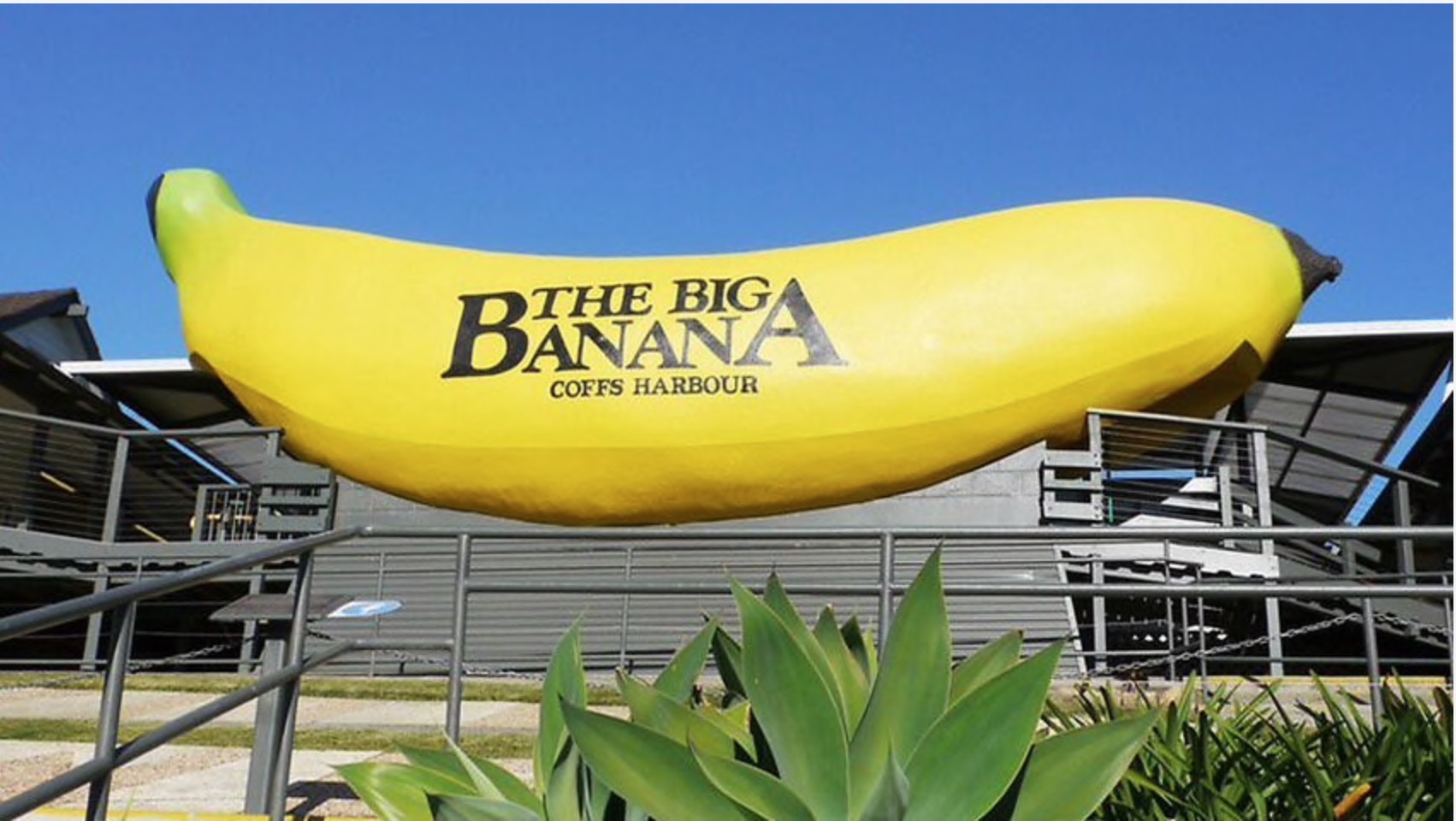 Самый большой банан в мире